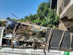 Best Basement Cleanout  in Emory, TX